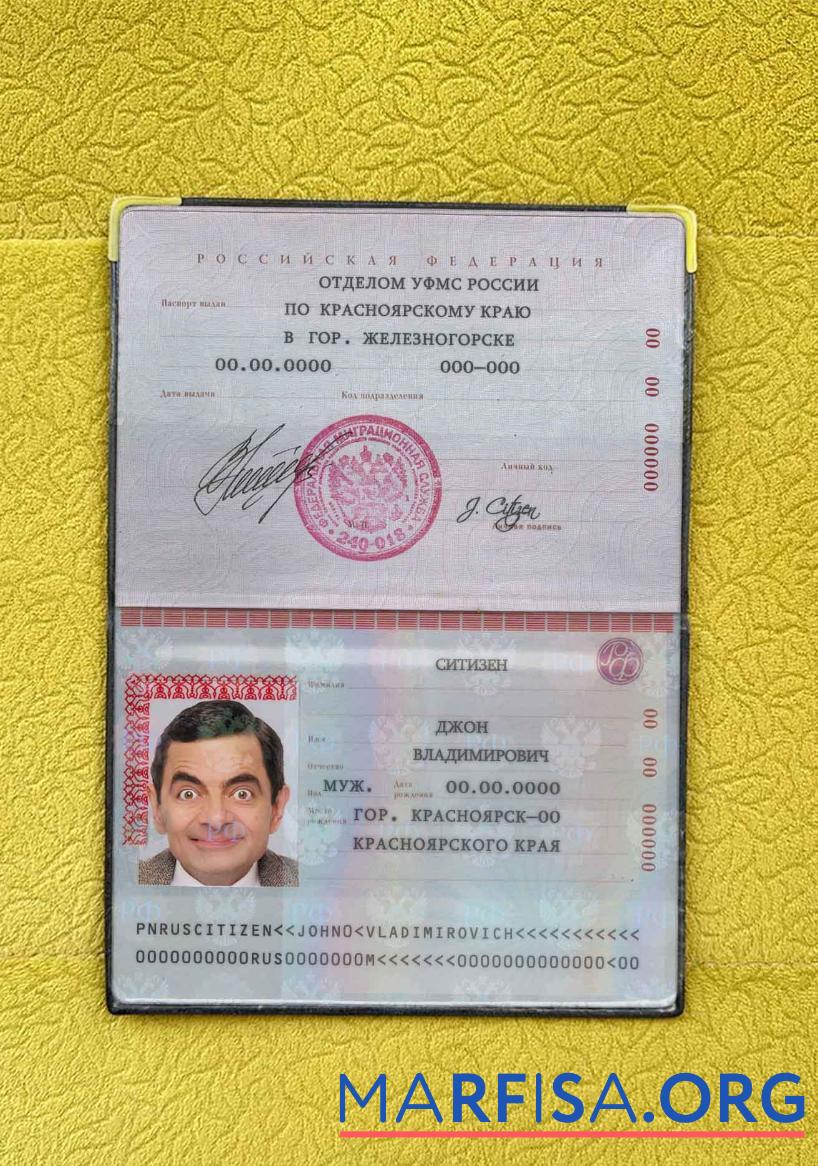 Realistic Russia Standard Passport photo look template